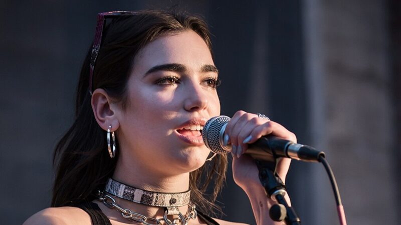 Fotografie Dua Lipy v roce 2017 v Hollywoodu