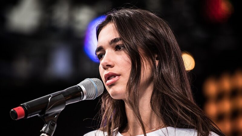 Fotografie Dua Lipy