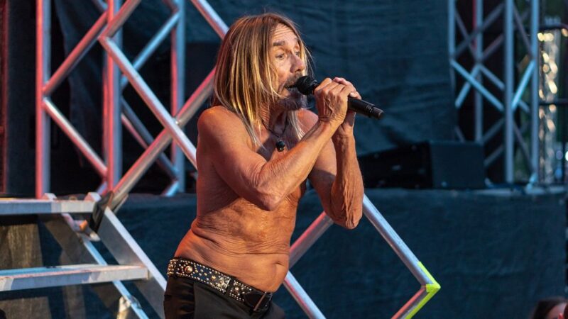 Iggy Pop na koncertě v roce 2018