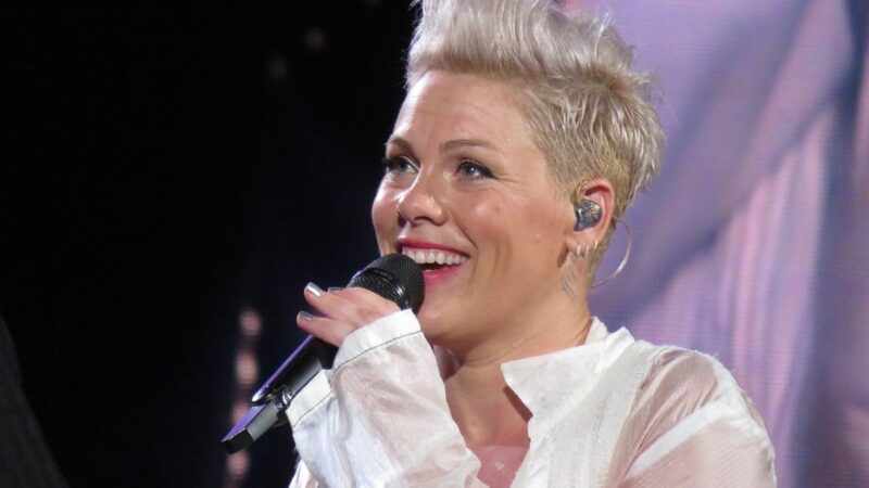 Pink při vystoupení v Mnichově v roce 2019