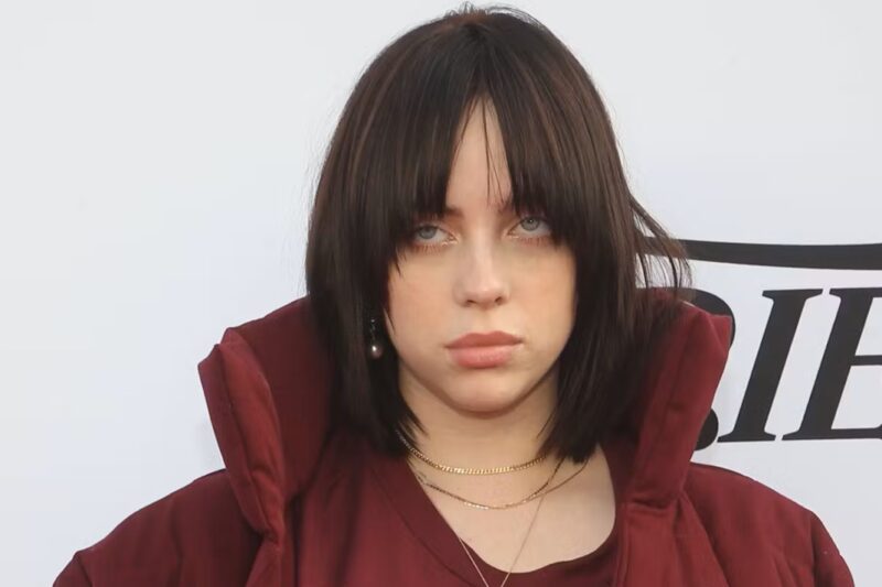 Obrázek k článku: Popová hvězda Billie Eilish burcuje hudební svět k ekologické revoluci