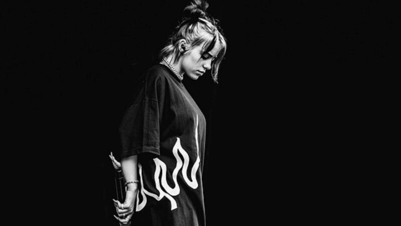 Zpěvačka Billie Eilish na koncertě v Belgii - 2019