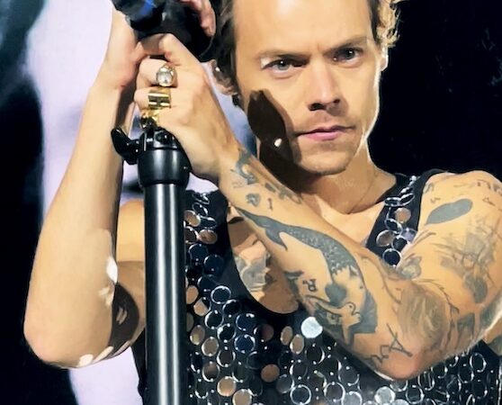 Harry Styles uznání