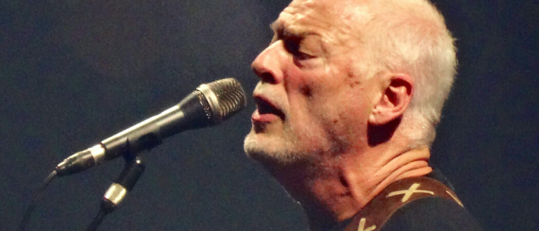 David Gilmour