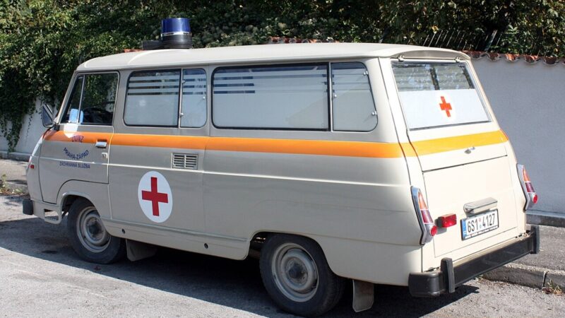 Sanitka